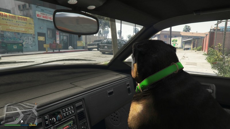 Grand Theft Auto V / Chop 