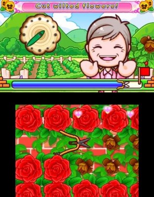 Gardening Mama Forest Friends New Game Plus 