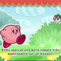 Kirby et la Métamate