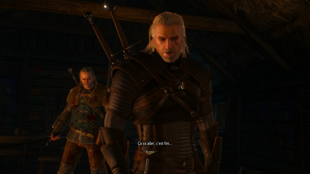 The Witcher 3 Wild Hunt Test 