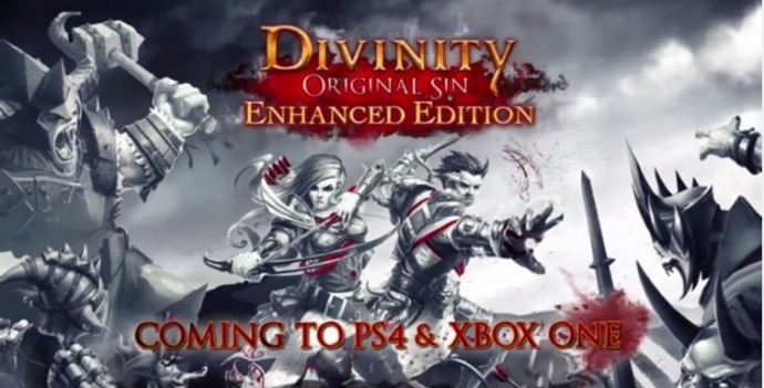 Divinity Original Sin Enhanced Edition