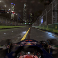 F1 2015 (11)