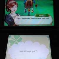 Ecrans Story of seasons apprentissage