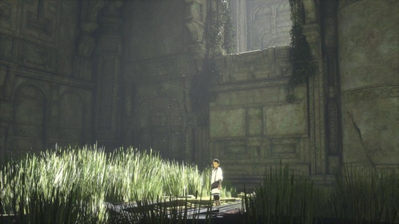 Visuel du jeu The Last Guardian