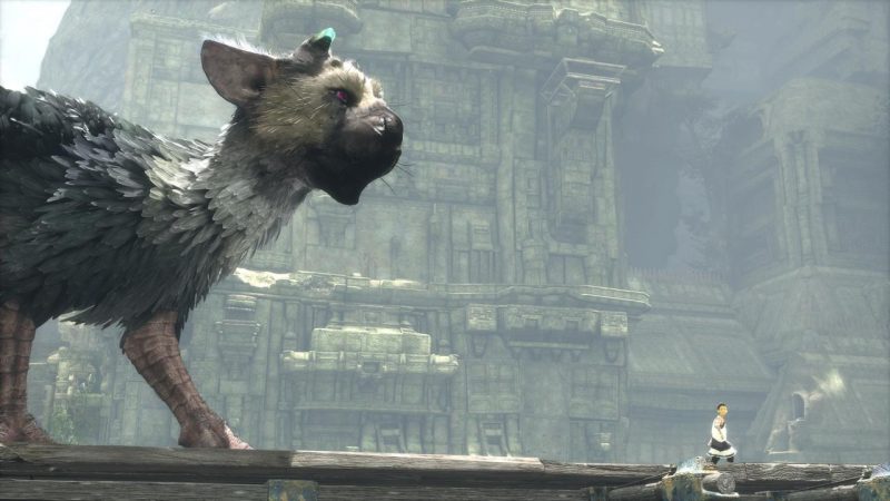 Visuel du jeu The Last Guardian