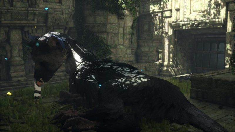 Visuel du jeu The Last Guardian