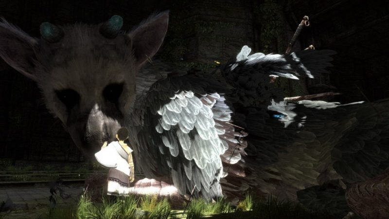 Visuel du jeu The Last Guardian