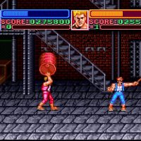 Super Double Dragon