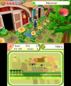 Harvest Moon : Le village de l'Arbre Céleste tournesols