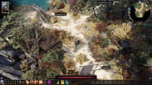 Divinity: Original Sin II - décor 3