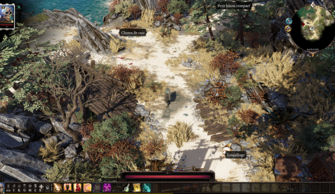 Divinity: Original Sin II - décor 3