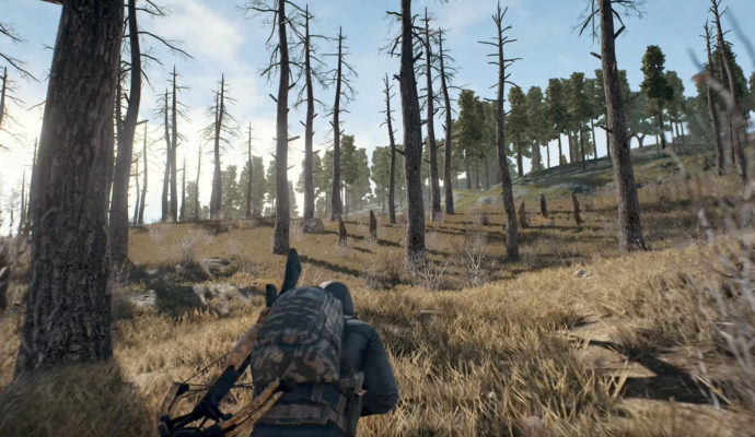 PlayerUnknown’s Battlegrounds balade à découvert