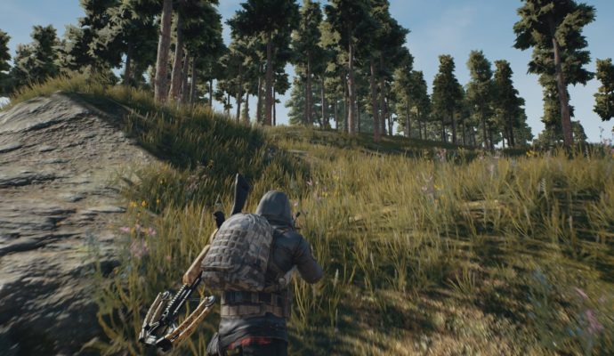 PlayerUnknown's Battlegrounds caché dans la forêt