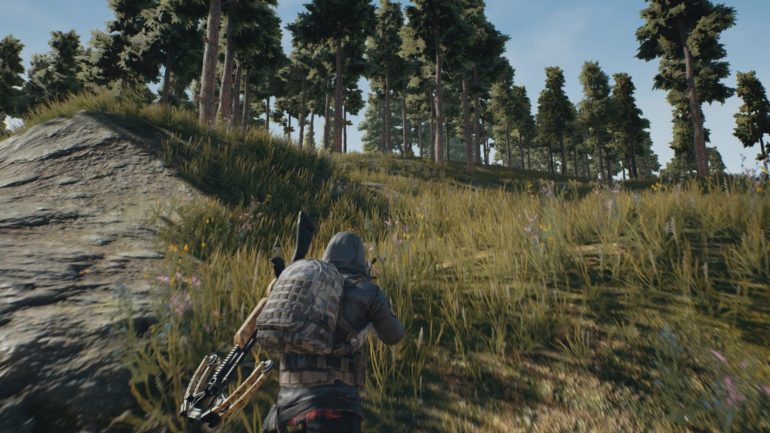 PlayerUnknown's Battlegrounds caché dans la forêt