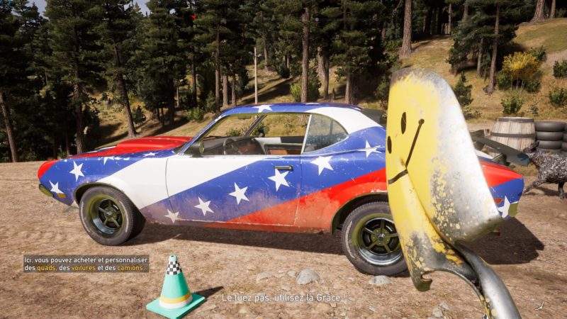 Far Cry 5 objets prestige