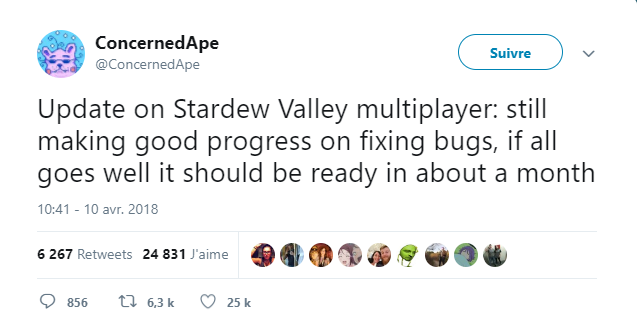 Stardew valley - tweet multijoueur