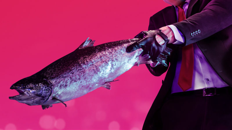 Hitman 2 Poisson