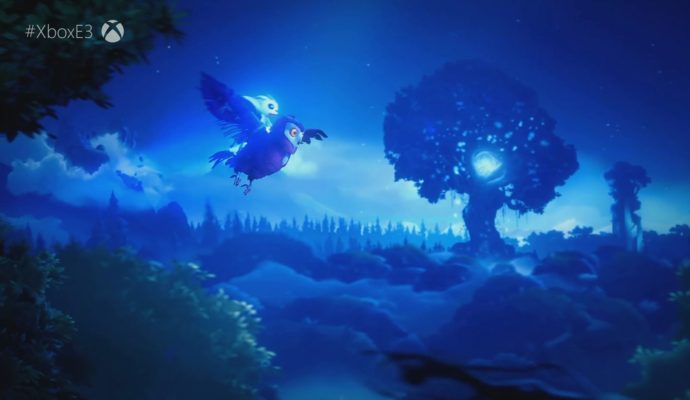 Ori and the Will of the Wisps nuit