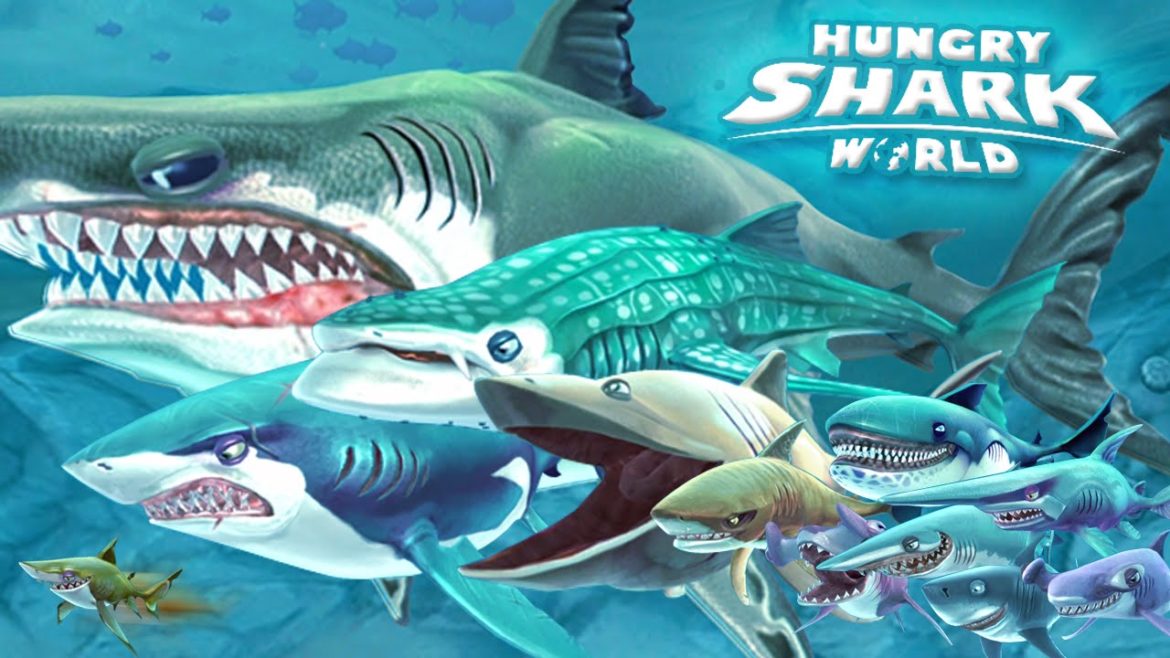 Hungry Shark World gang de requins