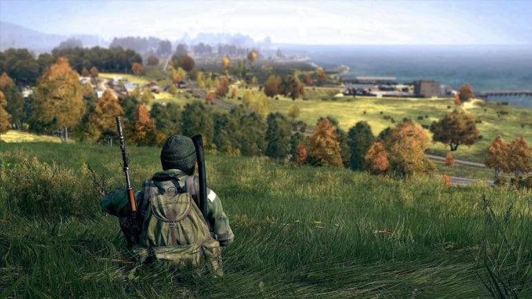 DayZ plaine survivant