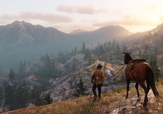 Red Dead Redemption 2 Arthur contemple le décor