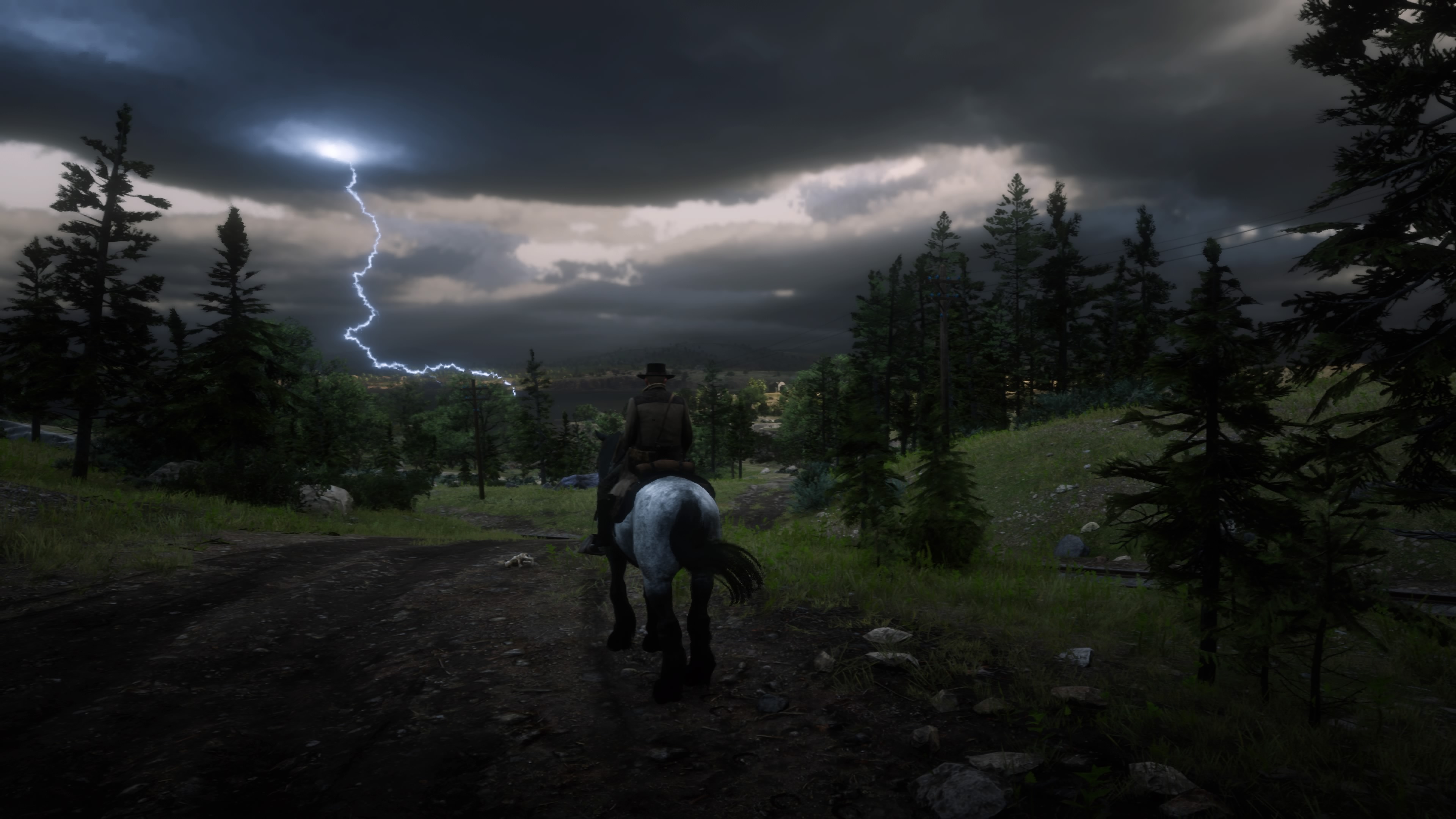 Red Dead Redemption 2 - Orage