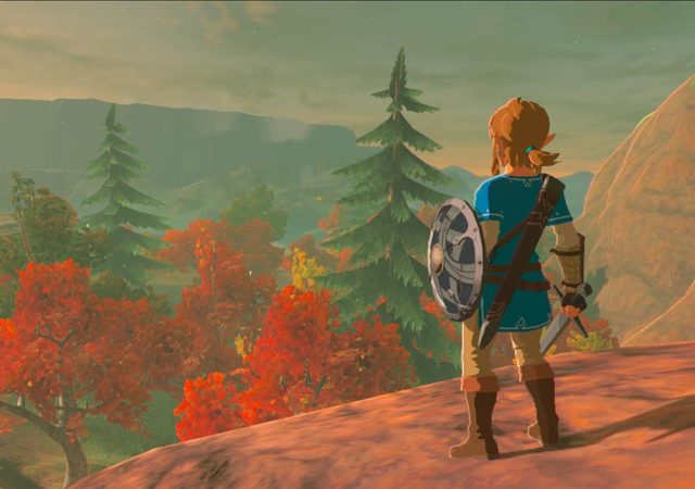 Legend of Zelda - link sur une colline