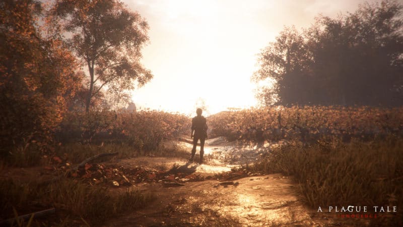 A Plague Tale: Innocence Hugo sur un champ