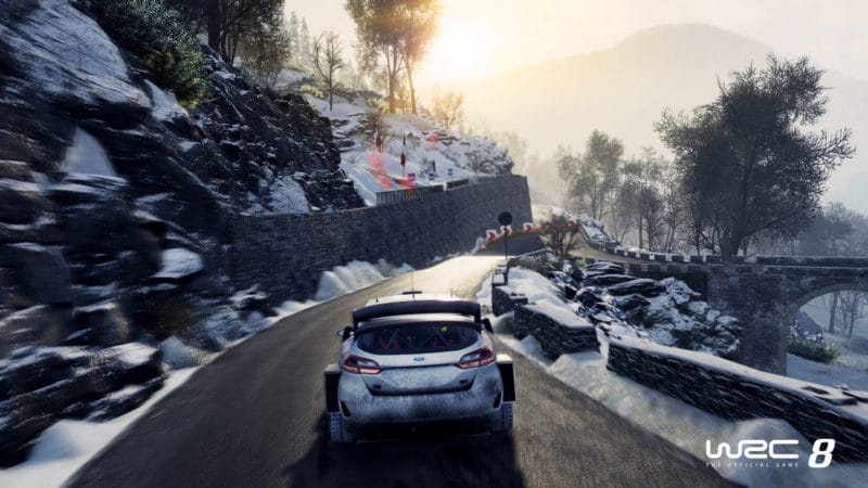 WRC 8 fiesta neige