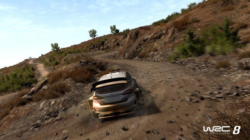 WRC 8 fiesta terre courbe