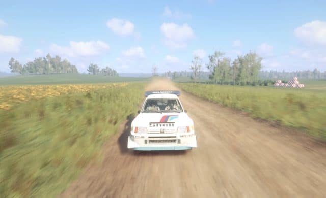 Test DiRT Rally 2.0 - 205 T16