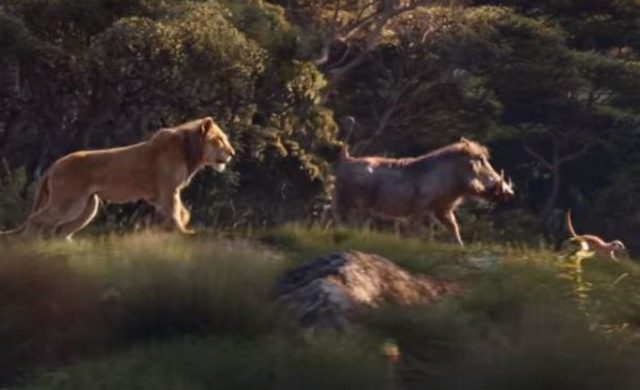 le roi lion Simba Pumbaa et Timon de retour en live action