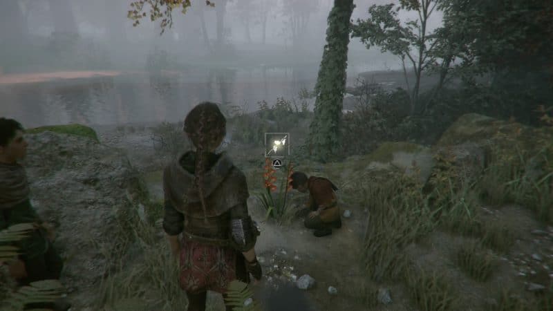 A Plague Tale: Innocence glaieul