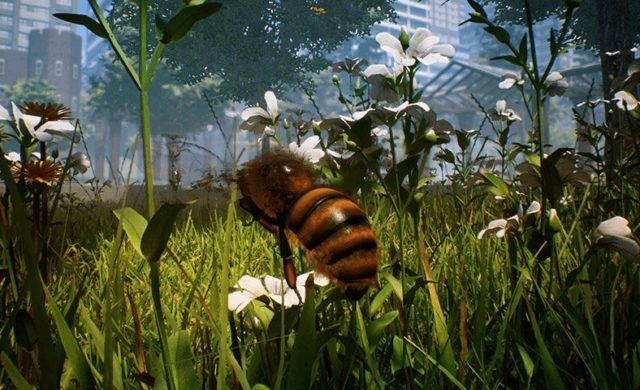 Bee simulator dans herbe