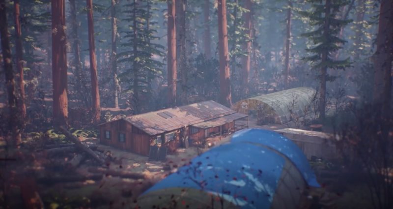 paysage camp life is strange 2