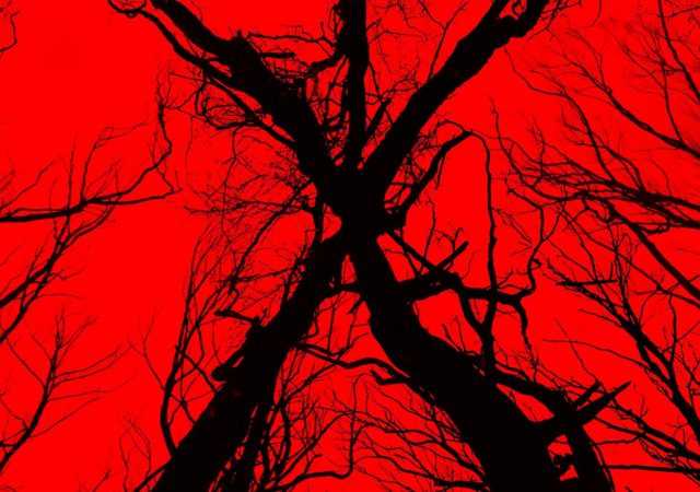 Blair Witch Poster