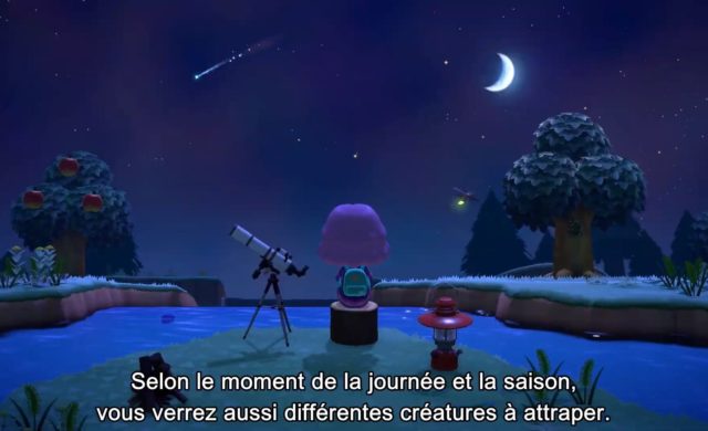 animal crossing: New Horizons - nuit