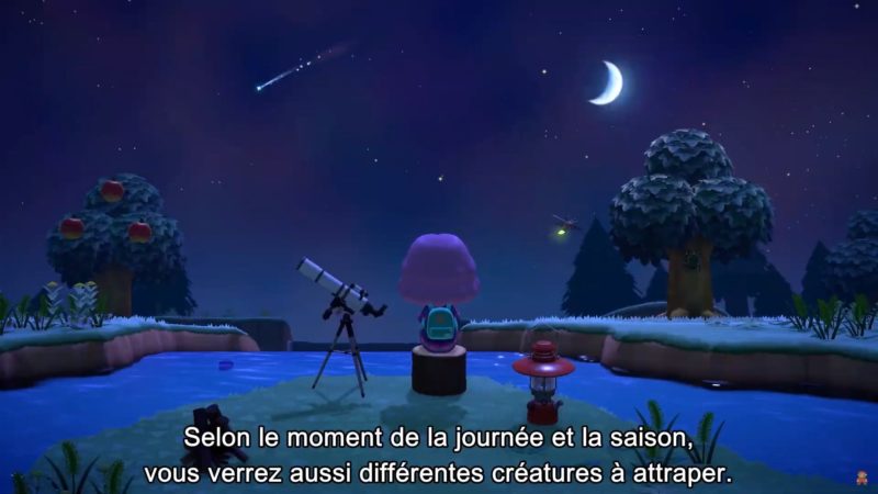 animal crossing: New Horizons - nuit