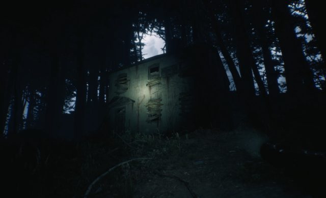 Test Blair Witch house witch