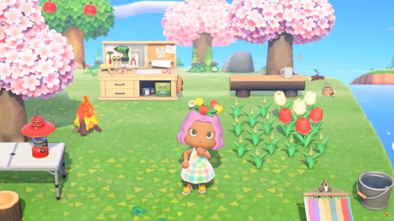 animal crossing: New Horizons - camping