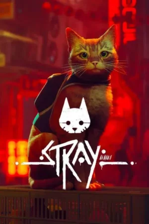 Jaquette du jeu Stray