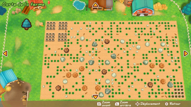 Story of Seasons: Friends of Mineral Town - Un taudis