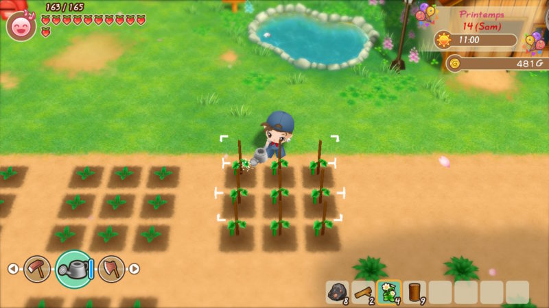 Story of Seasons: Friends of Mineral Town - Au turbin