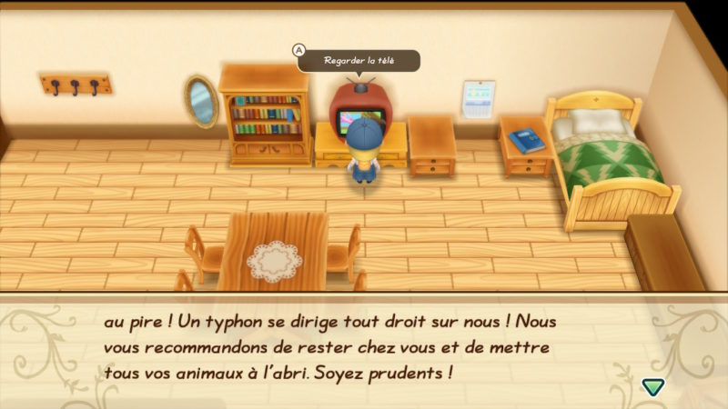 Story of Seasons: Friends of Mineral Town - Aléas