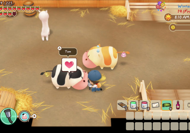 Test du jeu Test Story of Seasons Friends of Mineral Town sur Switch