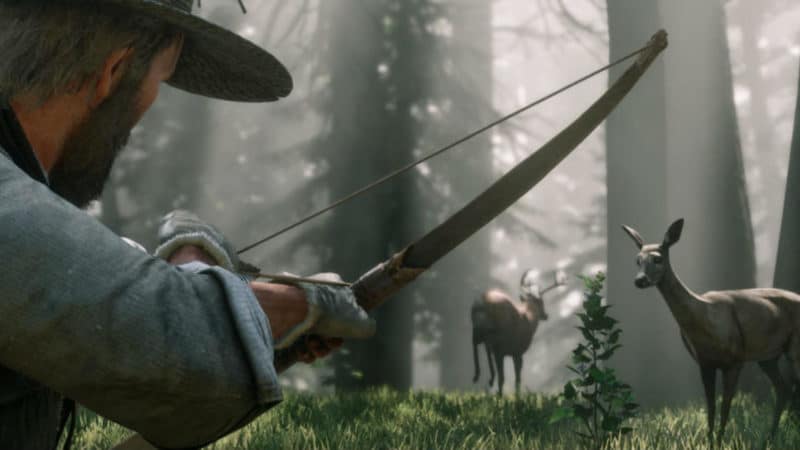 Red Dead Redemption 2 chasse