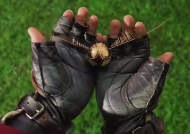 Harry Potter: Catch the Snitch sur Kickstarter