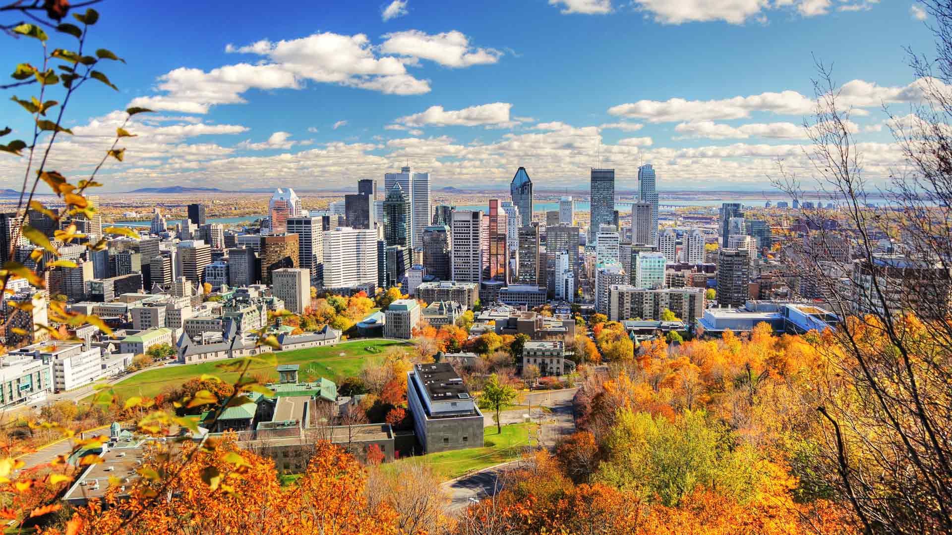 Montréal paysage