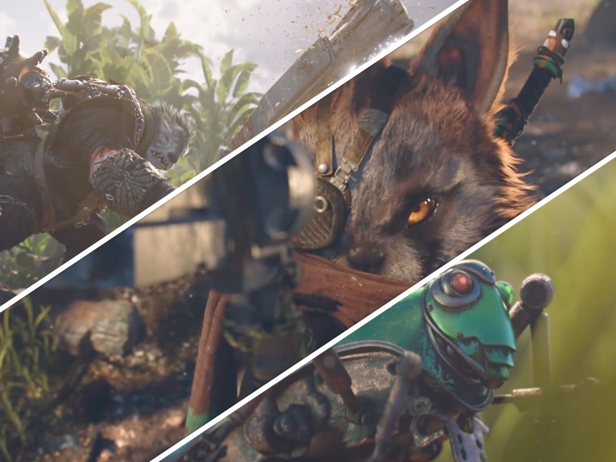 Biomutant Guide débutant