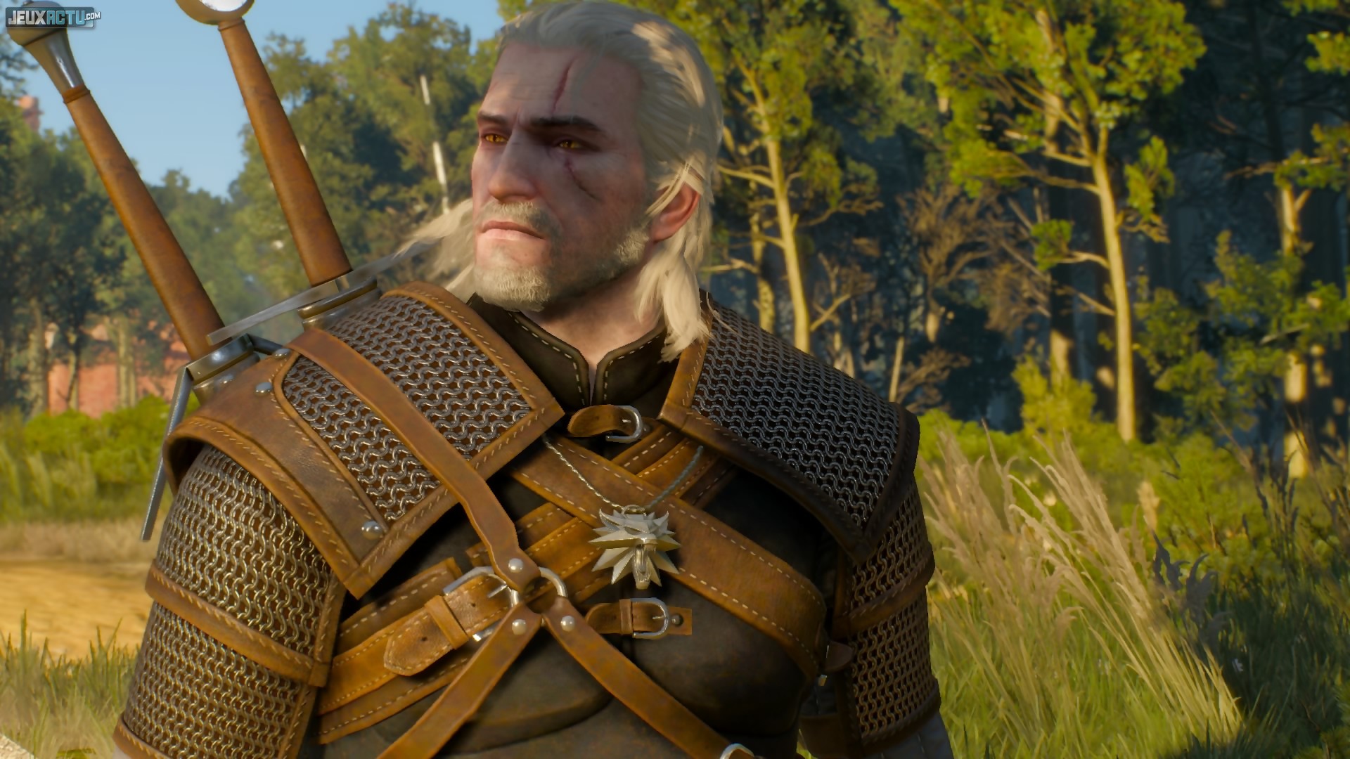 The Witcher 3 next gen